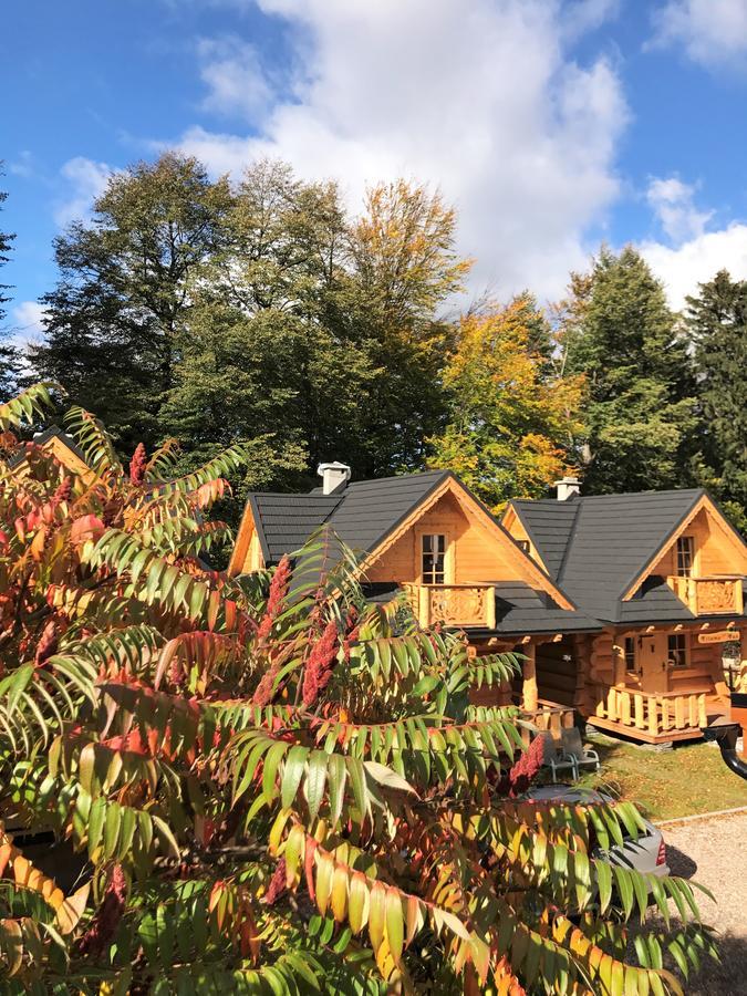 Goralska Osada Karpacz - Domki Lux Exterior foto